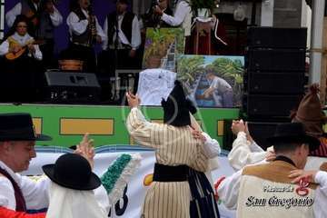II Festival Tajea y Torna 7 Islas en Los Llanos de Telde (Francisco Javier Santana)